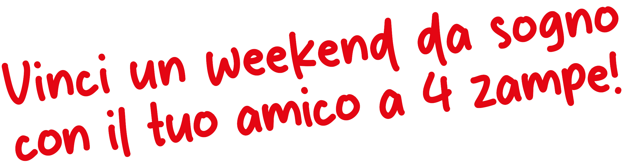 MD Viaggi logo
